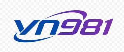 VN981